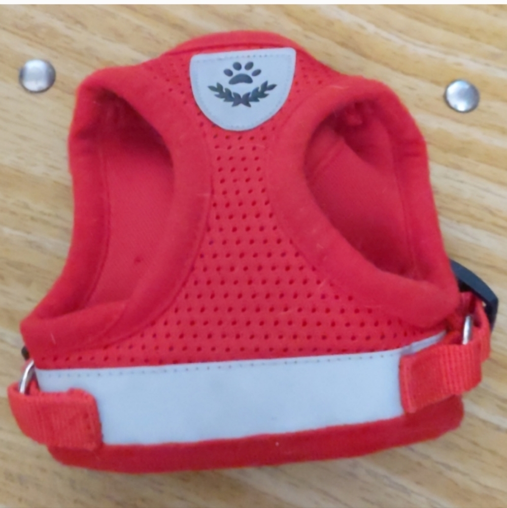 Red Harness - Picture 2 of 2